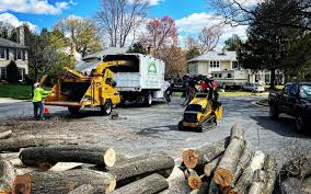 Best Utility Line Clearance  in High Bridge, WA